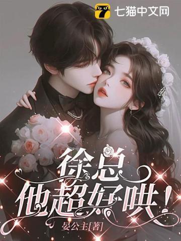 徐总是哪部电视剧
