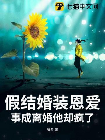 假结婚免费阅读