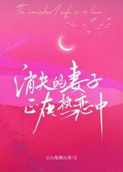 消失的妻子精编版第四集