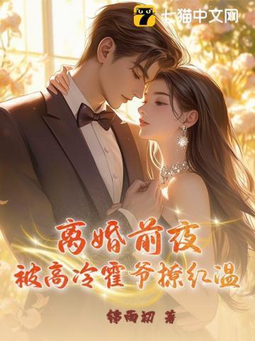 离婚前霍太太失忆了全文免费阅读永恒圣帝