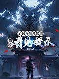 我能看见提示在线免