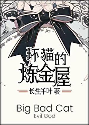 坏坏猫净化不了