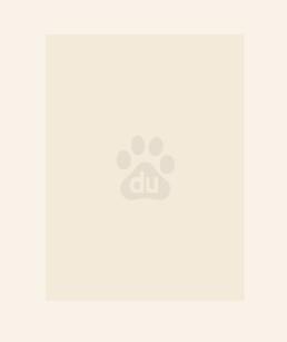 绝世炼丹师纨绔九小姐epub