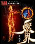 燃界电炸炉RANJIE型号RJ-82