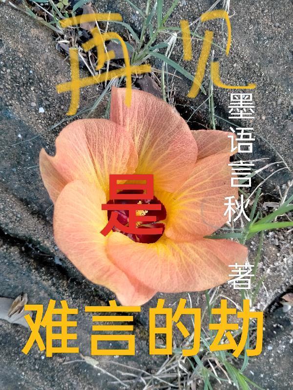 再见难吗难难就算了什么意思
