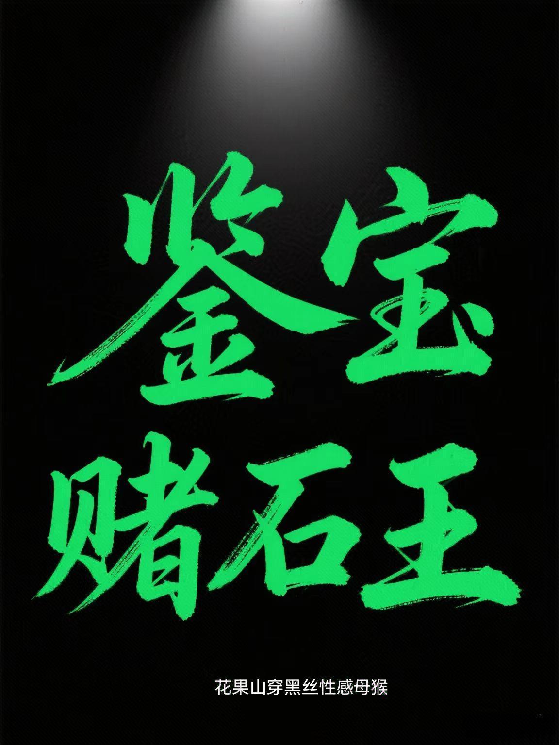 鉴宝赌石王张伟