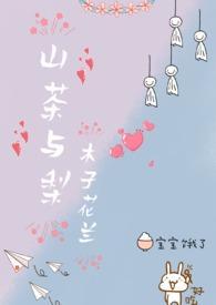 山茶与梨讲的什么