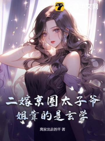 二嫁丞相