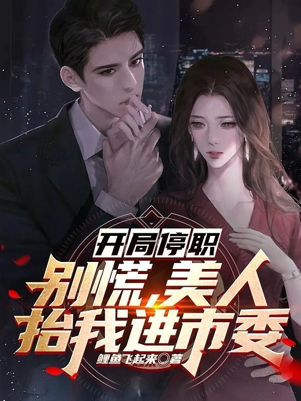 美人抬我进市委TXT