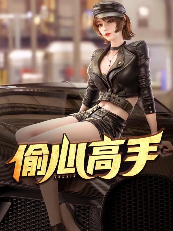 偷心高手全文阅读