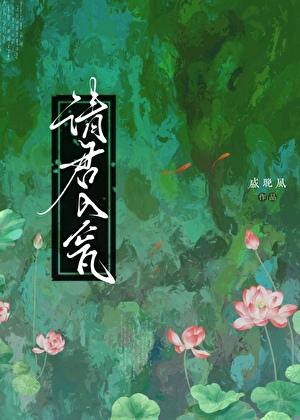 请君入瓮电视剧免费观看
