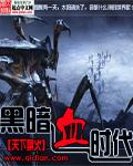黑暗血时代天下飘火