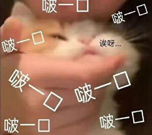 图南科技有限公司