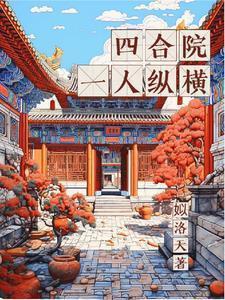 四合院一人纵横20