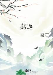 燕返电视剧