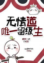 无情道修到最后是什么结果