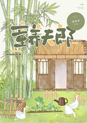裴家夫郎番外