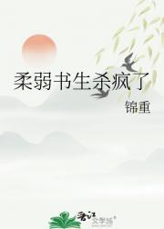 柔弱书生彪悍娘子