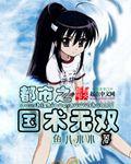都市国术无双