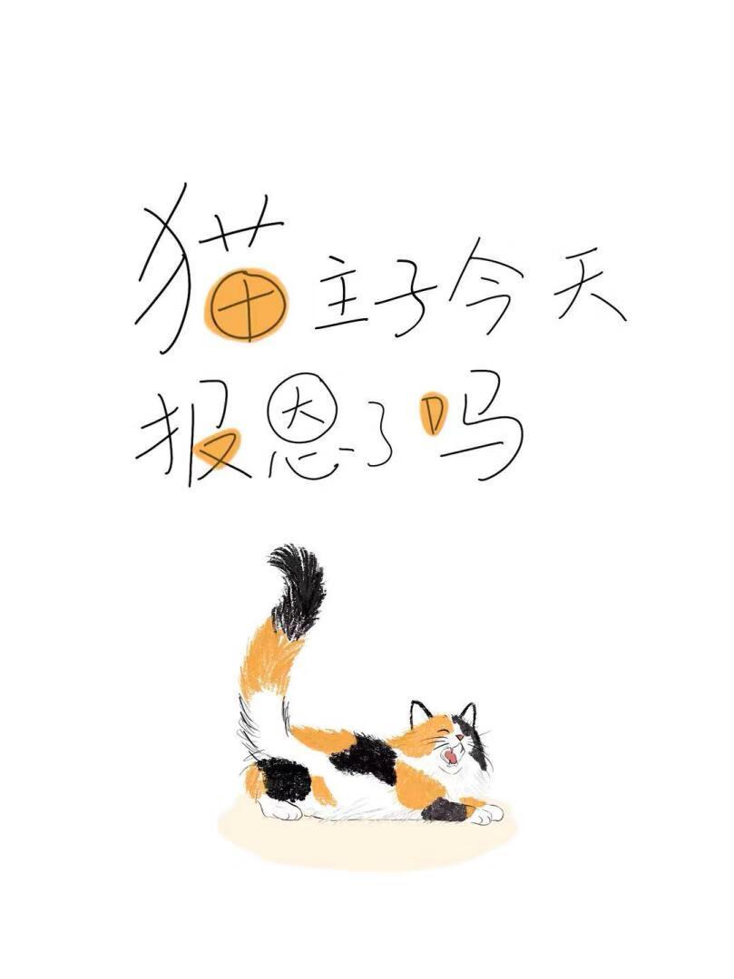 小猫咪报恩什么意思
