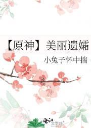 原神美丽遗孀免费阅读