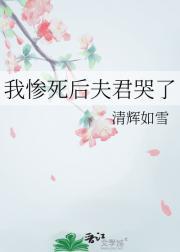 我死后前夫疯了免费阅读在线