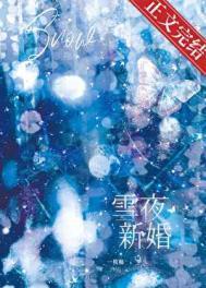 雪夜新婚txt免费全本