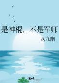不是军师凤九幽免费阅读