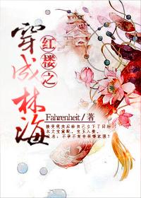 红楼之穿成林海txt