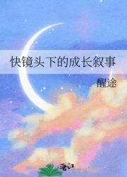 快镜头的例子