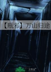 瓶邪之归途