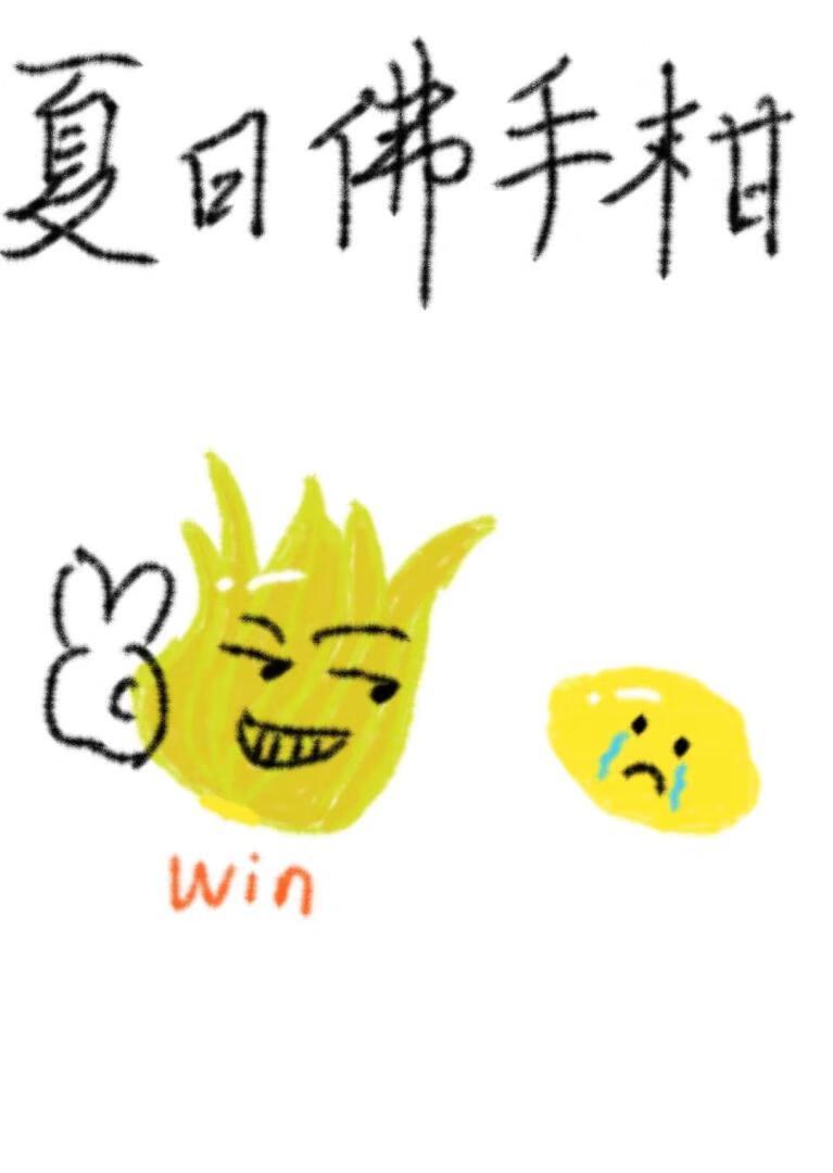 夏日佛手柑文以陈