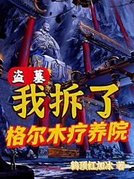 盗墓我拆了格尔木疗养院盗版