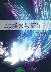 烽火与流星pdf