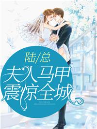 陆总夫人开a爆了