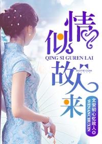 情似故人来大结局