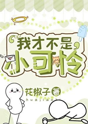 我才不是小可怜大结局