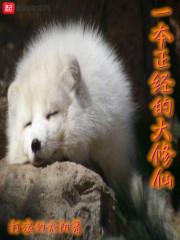 山村妖孽医圣凌风