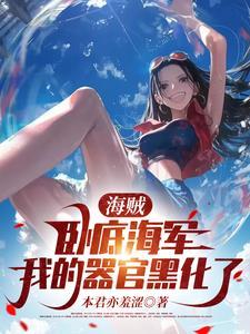 海贼之卧底组织