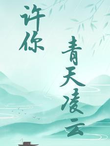 许你晴天免费阅读