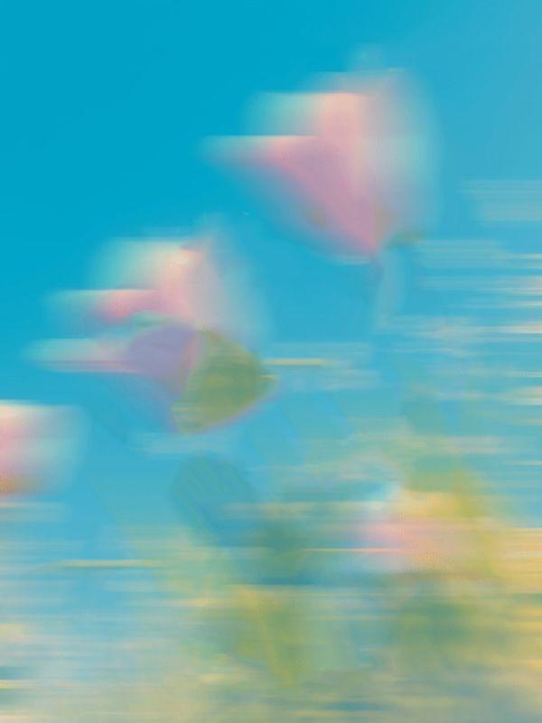 我成了皇后免费阅读