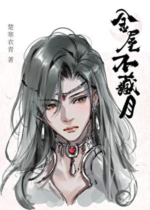 金屋不藏月TXT百度