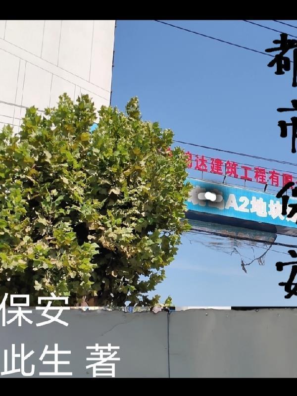 都市保安叶君浪