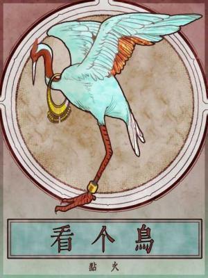 看个鸟by点火笔趣阁最新章节