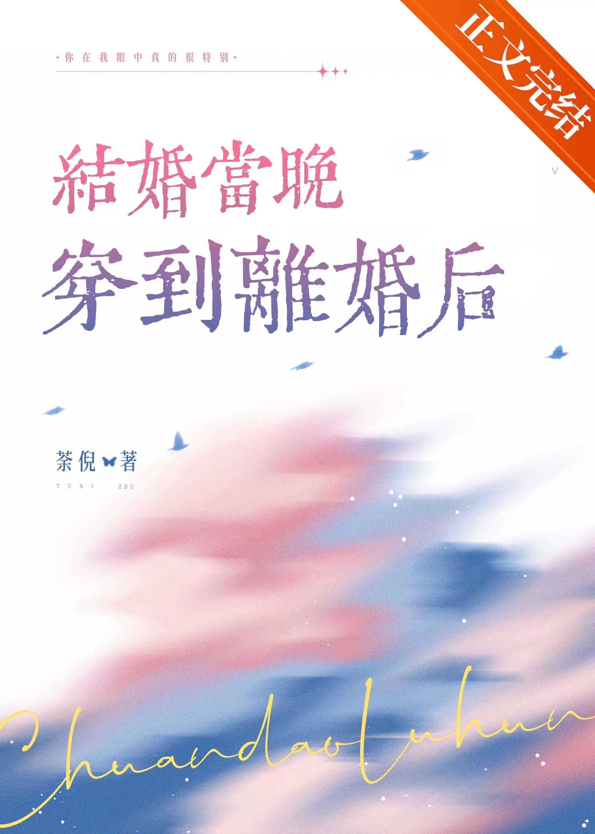 结婚当晚穿到离婚后荼倪