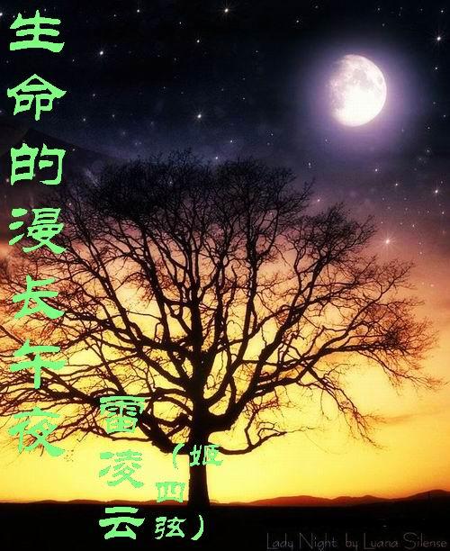生命的漫长午夜在线观看