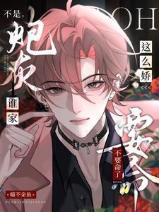 不是炮灰是龙套