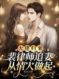 大佬归来裴律师追妻从情人做起全文阅读