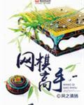 网棋怎么玩