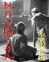 抗战之地下党系统